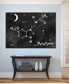 Resim Grabovoi Meletonin Aşk Mutluluk Formülü Yaşam Çiçeği Kanvas 35 x 50 
