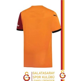 Resim Galatasaray 2024/2025 Parçalı İç Saha Taraftar Forma Gs Aslan Baskılı Hediyelik Ahşap Kutulu Sarı - Kırmızı 