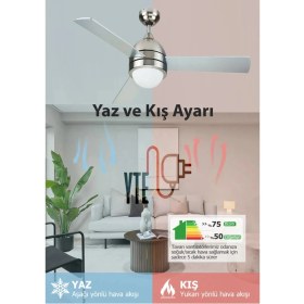 Resim Avizeli 3 Kanatlı 60 Watt 122 cm Işıklı Büyük Tavan Vantilatörü 
