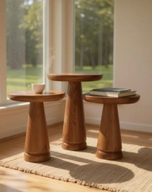 Resim ASELYA HOME Doğal Ahşap 3’lü Set Mantar Yan Sehpa Modern Fiskos Zigon Çiçeklik 