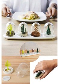 Resim 4 Mevsim Baharatlık Masanızda 4 Mevsimi Yaşayın Amber 