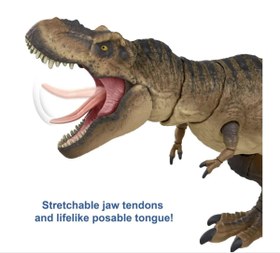 Resim Jurassis World Yetişkin Koleksiyon T-Rex Figürü HFG66 