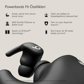 Resim Beats - Powerbeats Fit - Kablosuz, Gürültü Önleyici, Üstün Kulak Uyumuna Sahip Antrenman Kulaklıkları; IPX4; şarj kutusuyla 30 saate kadar pil ömrü; Apple ve Android ile uyumlu - Simsiyah 