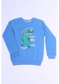 Resim Hçm Erkek Çocuk Sweat Dinozor Baskılı Ribanalı C54 Açık Mavi 