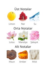 Resim Aqua Di Polo 1987 Iseo Body Splash Vücut Spreyi 150ml | Çiçeksi, Meyveli | Limon, Nar, Lotus, Manolya, Şakayık, Amber 