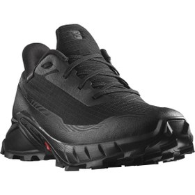 Resim Salomon Alphacross 5 Gtx Erkek Spor Ayakkabısı 