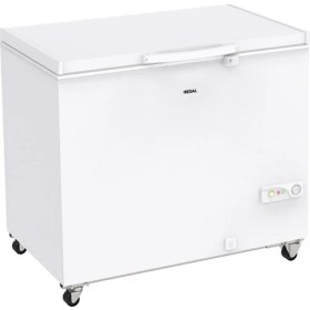 Resim Regal Sd Dual 3022 E Enerji Sınıfı 268 lt Sandık Tipi Derin Dondurucu 