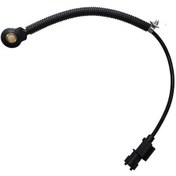 Resim Hyundai İ20 Vuruntu Sensörü Delphi 3925003000 