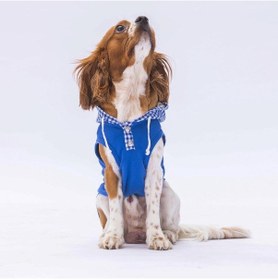 Resim Pawstar Mavi Gingham Kapşonlu Kedi Köpek Tişörtü Kedi Köpek Kıyafeti 