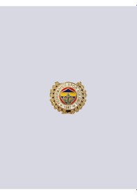 Resim Fenerbahçe Rozet 1,9 Cm Altın 
