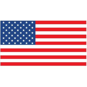 Resim Saray Amerika Bayrağı 50X75 