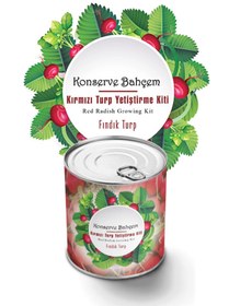 Resim Leyaton BUFFER® Konserve Bahçem Evde Konservede Fındık Turp Yetiştirme Kiti LWLHM-YTRS345 