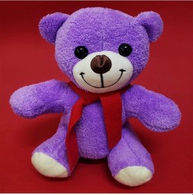 Resim Oyuncak Peluş Ayı Çok Renkli 