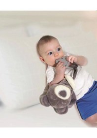 Resim Babyjem Diş Kaşıyıcılı Uykucu Ayıcık 680 Gri 