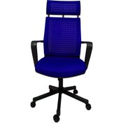 Resim Gizmo Efor Fileli Şef Bilgisayar Ofis Çalışma Koltuğu Fk1401 Lacivert 