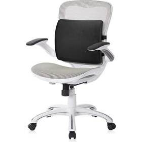 Resim Ankaflex Ofis Için Sandalye Arkası Ortopedik Bel Sırt Destek Süngerli Yastığı 