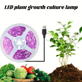 Resim İç Mekan LED Büyüme Işık Şeridi - Tam Spektrum Pembe & Mor Esnek Bitki Işığı, Sukulentler, Hidroponik Sera, Çiçekler, Meyveler ve Sebzeler için - USB ile Çalışan Tak ve Kullan, Dekoratif Akıllı Bahçe Çözümü, İç Mekan Yetiştirme, Meyve Üretimi, Düğmeli Kontrollü Aydınlatma 