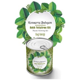 Resim Toyigoo Buffer® Konserve Bahçem Evde Konservede Kekik Dağ Kekiği Yetiştirme Kiti TYGRSYT9573 