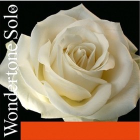 Resim Pirastro Wondertone E-ball Keman Tek Tel 310321 