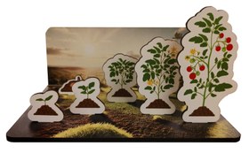 Resim Bitkinin Serüveni Eğitici Ahşap Oyun Seti Moon Beavers™ 