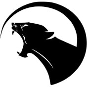 Resim Puma Yuvarlak Sticker Duvar Dekor Sticker 40 x 40 cm 
