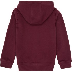 Resim U.S. Polo Assn. Erkek Çocuk Bordo Fermuarlı Kapüşonlu Sweatshirt 50316706-VR177 