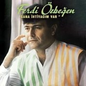 Resim Gereksi̇z Şeyler Ferdi Özbeğen Sana Ihtiyacım Var Plak 
