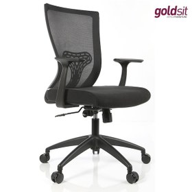 Resim Dekofis Goldsit Çalışma Koltuğu Fileli 