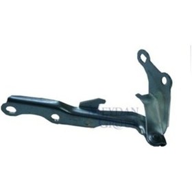 Resim Toyota Rav4 98/00 Kaput Menteşesi Sağ Tw 