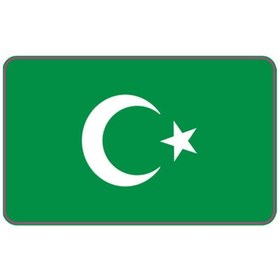 Resim Genel Markalar Cg Şeffaf Yeşil Bayrak Far Filmi 