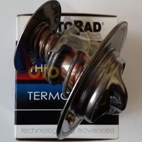 Resim Termostat Safrane Laguna 2000 N7q Motor 