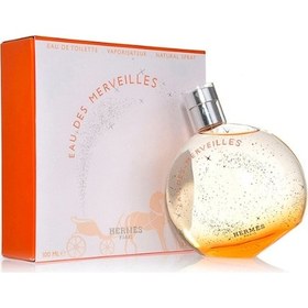 Resim Hermes Eau Des Merveilles EDT 100 ML 