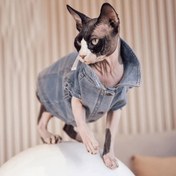 Resim Paw Portal Denim Ceket Kedi Kıyafeti 