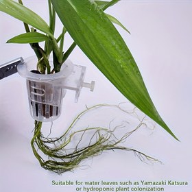 Resim 2 adet Ayarlanabilir Akvaryum Sualtı Bitki Kabı, Su Bitkisi Dikim Sepeti, Hidroponik Ekim Kupası, Balık Tankı Dekoru, Asılı Bitki Tutucu, Ayarlanabilir Balık Tankı Sepet Kupa, Dekorasyon için Uygun 