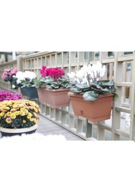 Resim Serinova Villa Balkon Saksı 2.75 Lt 95703400 