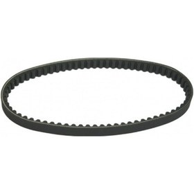 Resim Küba Trendy 50 Triger Kayışı Deltaforce 