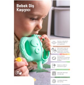 Resim Kanonik Education Açık Yeşil Bebek Silikon Diş Kaşıyıcı 