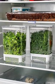 Resim Transformacion Yeşillik Saklama Kabı 2900 ml - Taze Yeşillik İçin Süzgeçli Saklama Kutusu, 7430000721957 