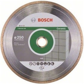 Resim Bosch Standard For Ceramic 250 MM Elmas Kesme Disk 