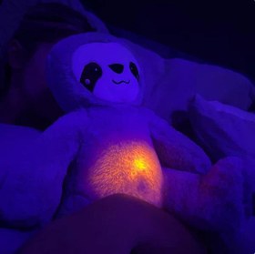 Resim Nefes Alan Uyku Arkadaşı Tembel Hayvan 