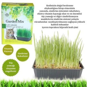 Resim Garden Mix Kedi Çimi 
