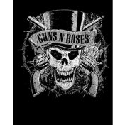 Resim Guns N Roses Vintage Dameged Büyük Sırt Patch Yama 