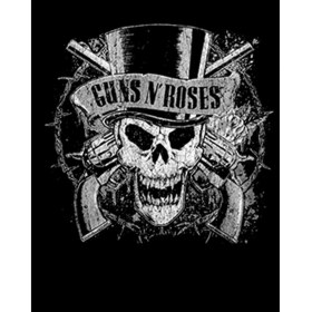 Resim Guns N Roses Vintage Dameged Büyük Sırt Patch Yama 