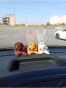 Resim CAR FRIENDLY SALLANAN KÖPEK 