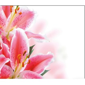 Resim Olinpa Cam Ocak Arkası Koruyucu | Çiçek Desenli 