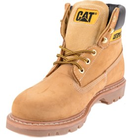 Resim Caterpillar Erkek Sarı Colorado Cat Bot 
