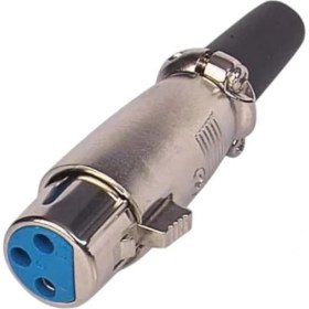 Resim Dişi Jack Fiş 