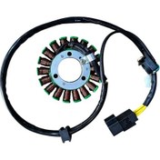 Resim Cf Moto Nk 250 Statör 