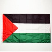 Resim Filistin Ulusal Bayrağı 90 150 Cm 3x5 Ayak Karşılamak İçin Geçit Töreni Partisi Asılı Ev Dekorasyon Afiş 