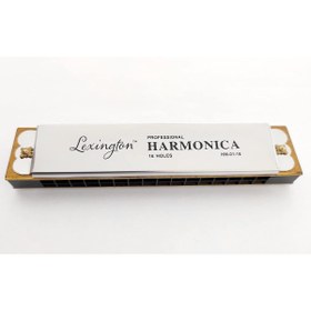 Resim Hype Store LongMoon LMHM0116 Mızıka 16 Delik Profesyonel Harmonica lu 